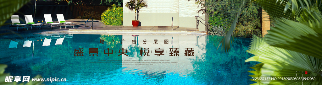 玫瑰 花 花园 园林 PSD分