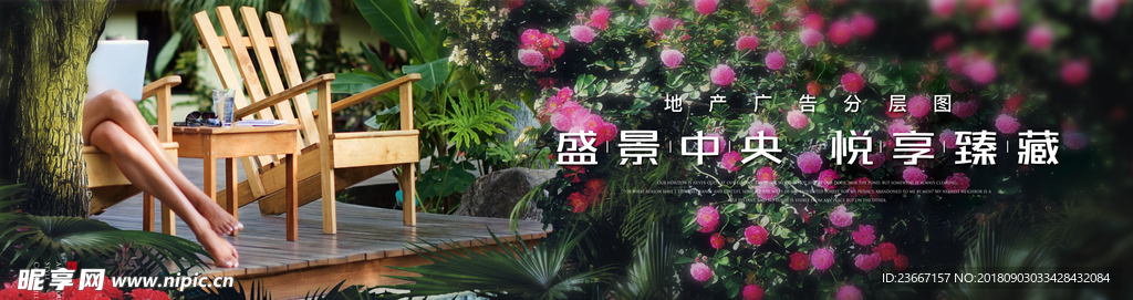 玫瑰 花 花园 园林 PSD分