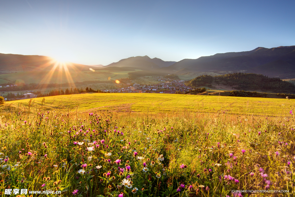 田地丘光射线大自然