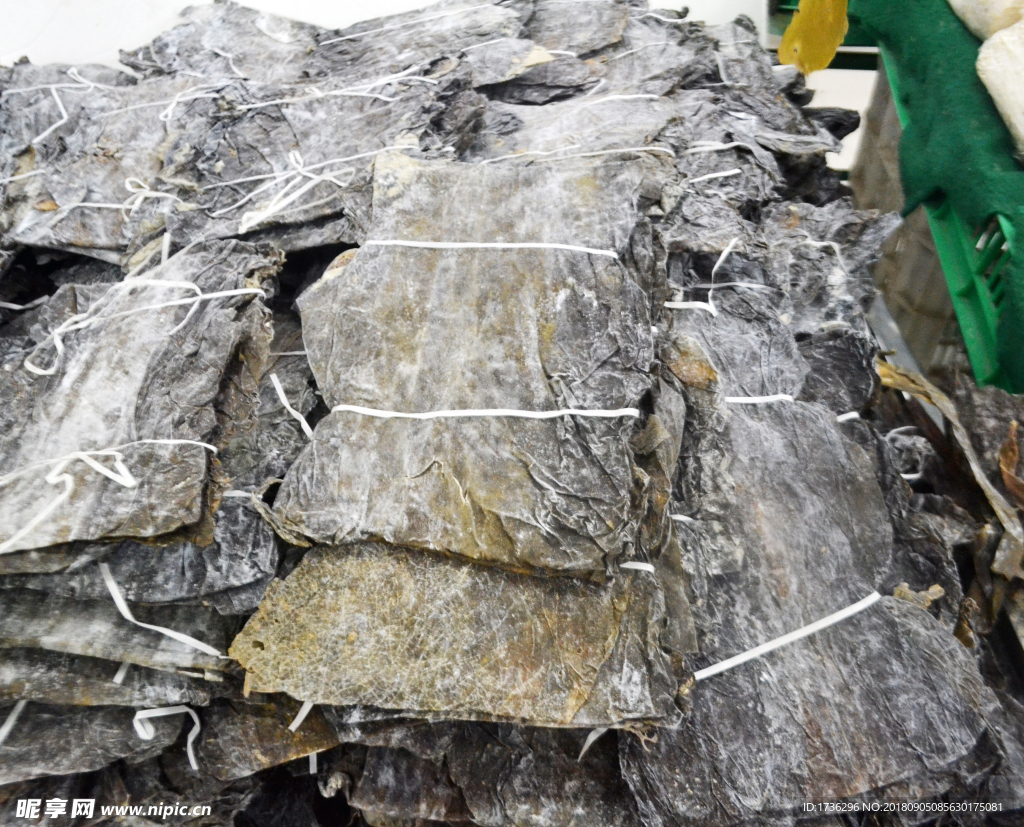 海带片商品图片