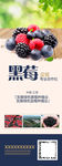 黑莓海报