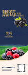 黑莓海报