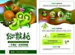猕猴桃宣传彩页