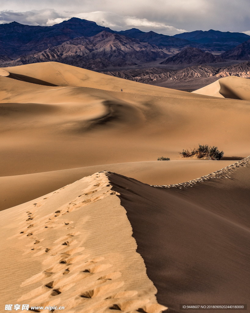 荒凉沙漠风景图片