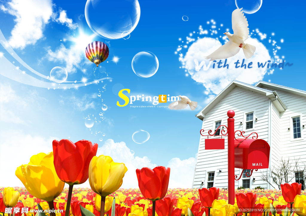 郁金香春夏风景