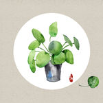 小清新盆栽绿叶北欧装饰画