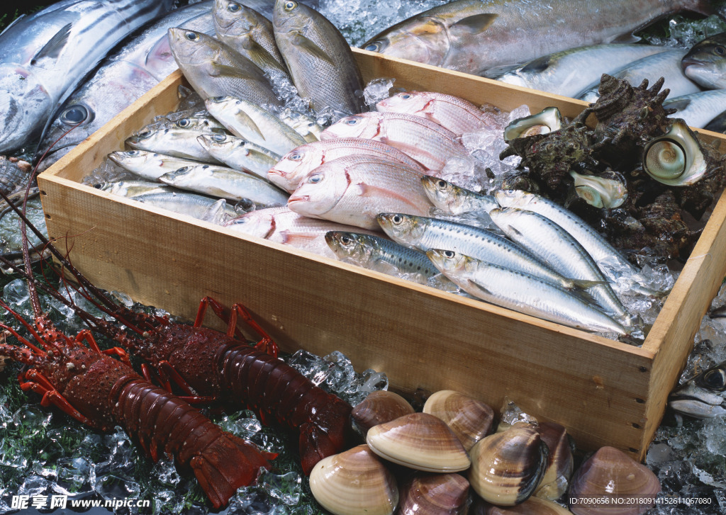 新鲜鱼虾贝蟹类水生物