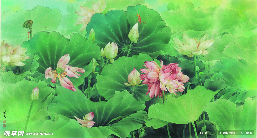 中式复古国画绿色粉色荷花