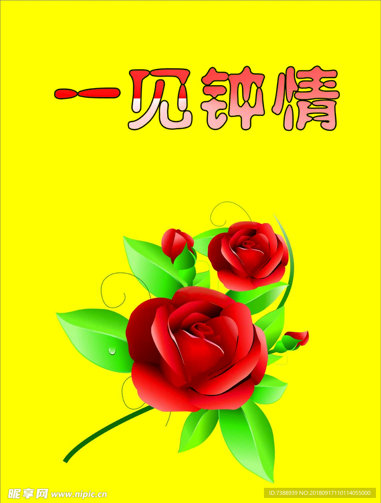 玫瑰花
