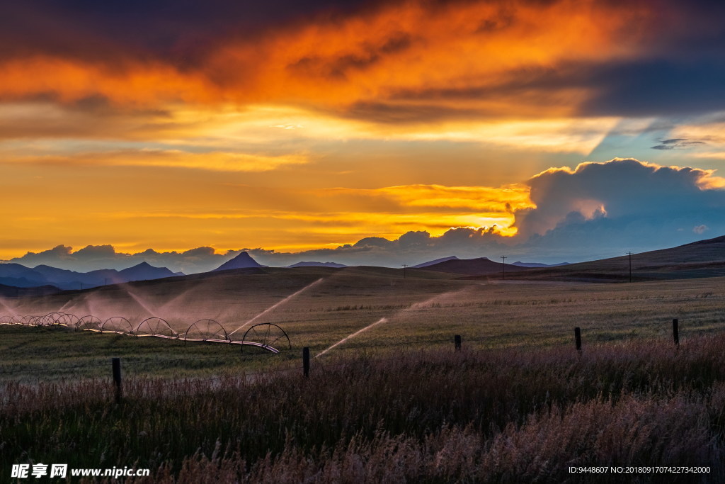 黄昏乡村田野照片