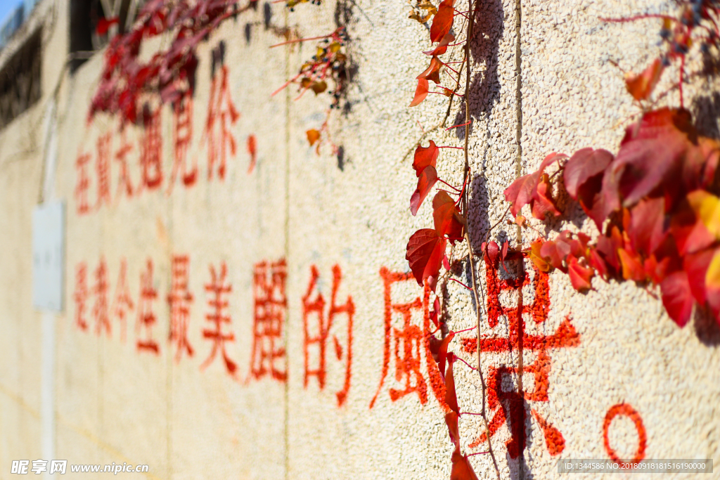 北京外国语大学