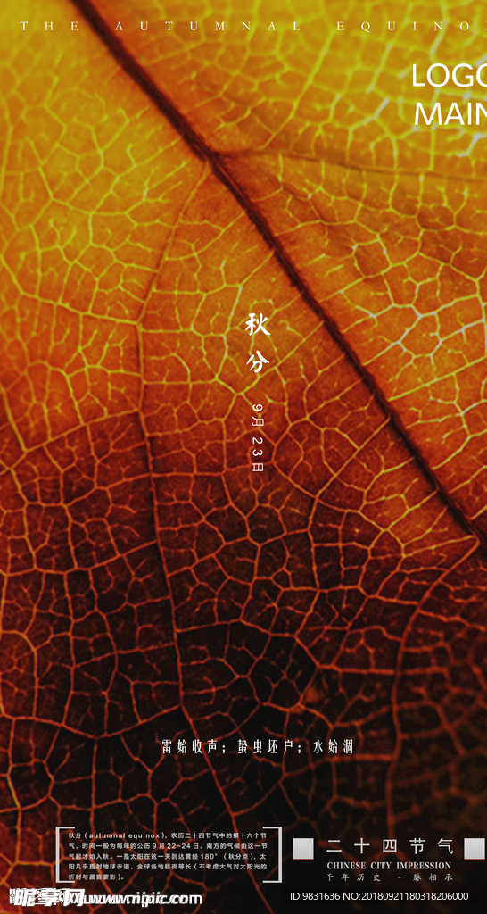 秋分海报 树叶