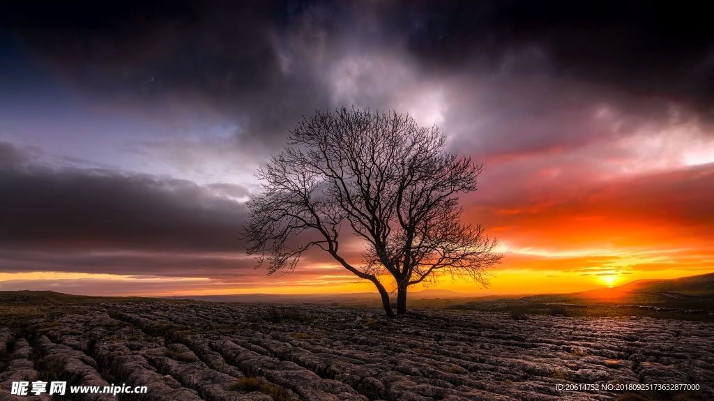 夕阳下的乡村风景