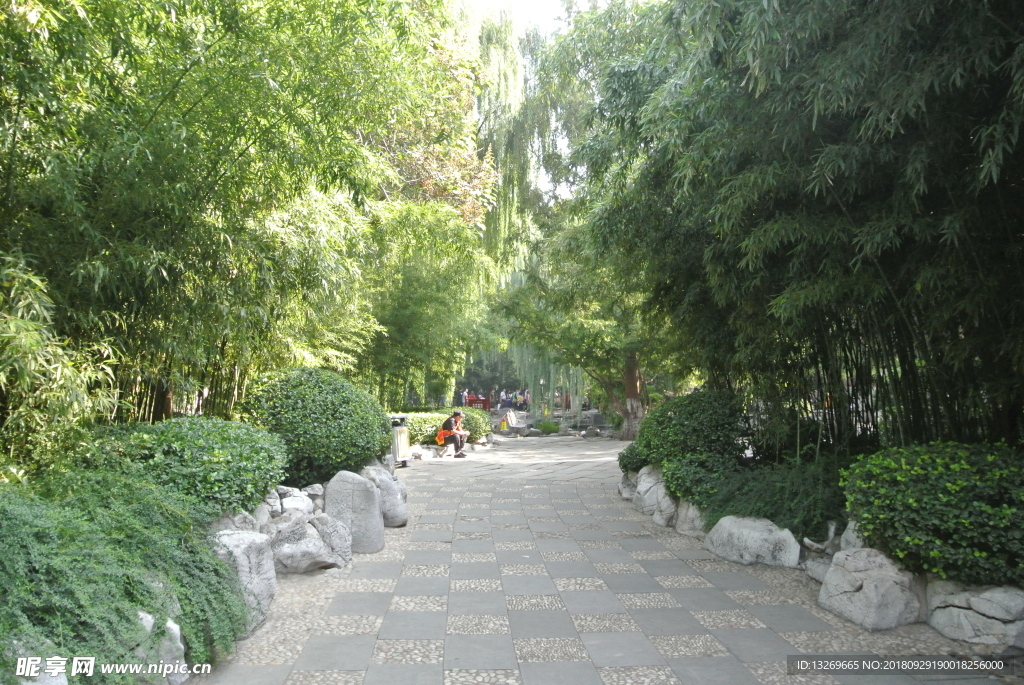 济南趵突泉  趵突泉