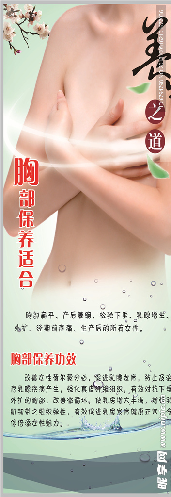 胸部保养宣传海报