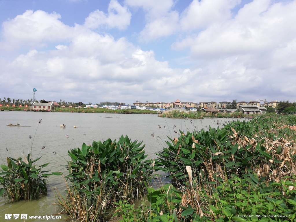 湿地公园  海南风光 海南农庄
