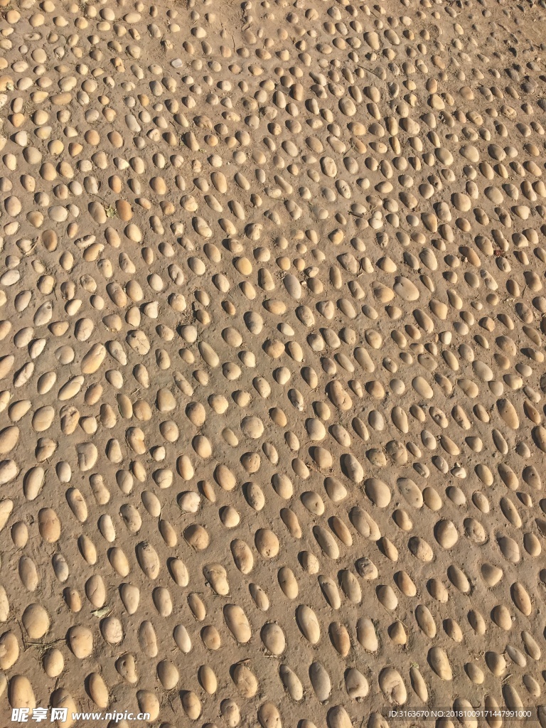 鹅卵石 公园石子路