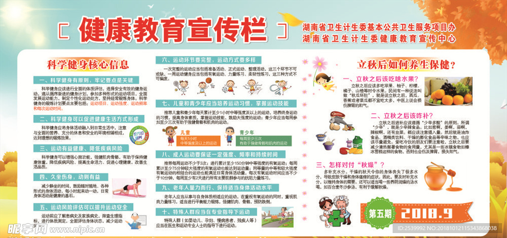 健康教育宣传展板