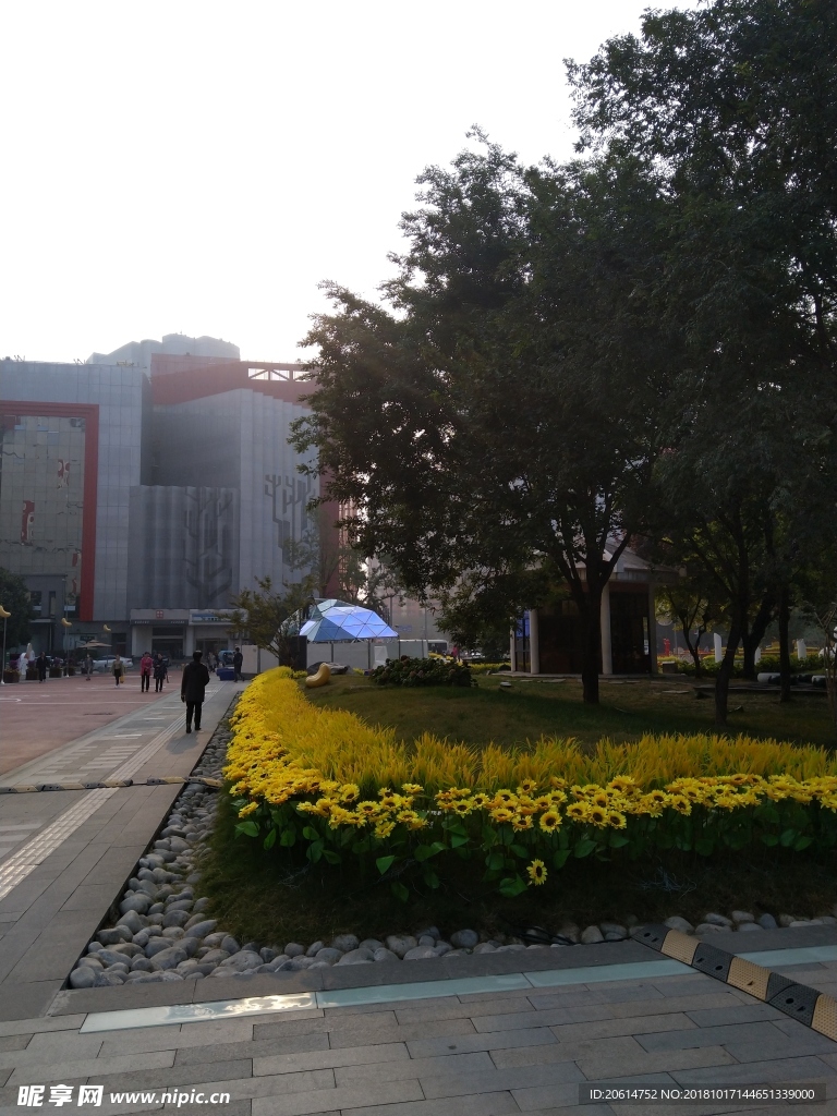 清晨里的城市风景