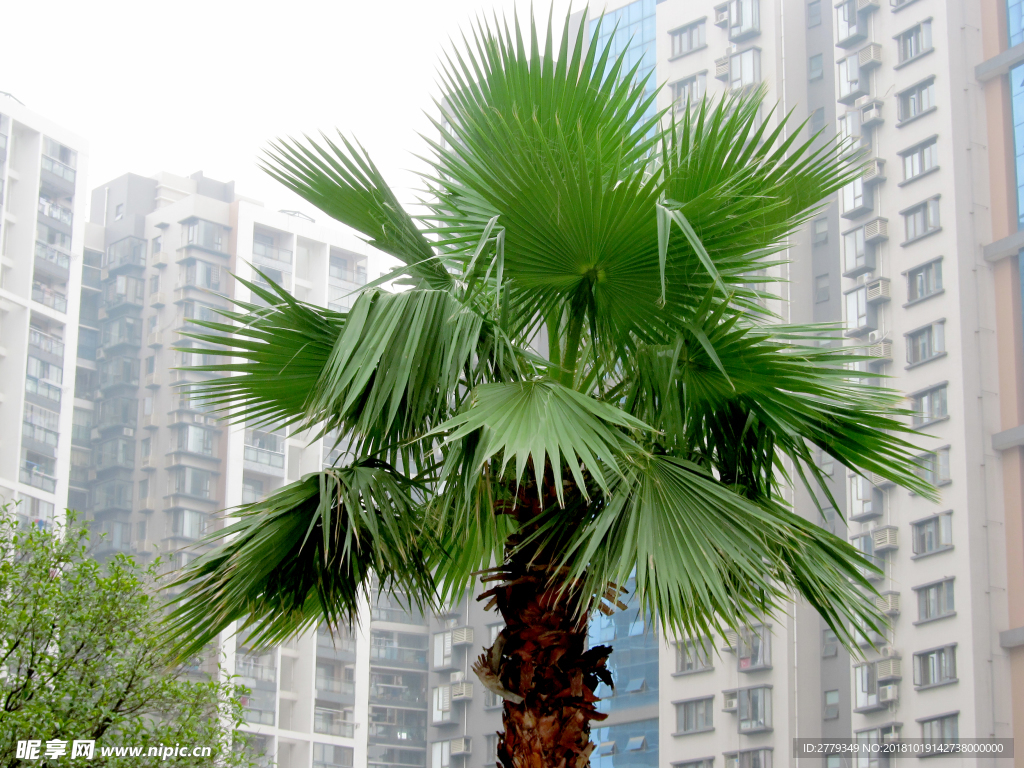 楼房 小区 天空 高楼 房屋