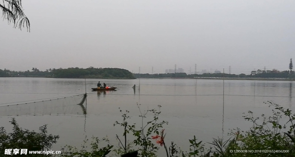 广州海珠湖风光