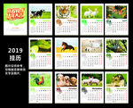 2019挂历图片