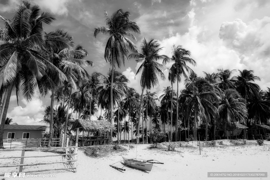 冬日里的海边风景