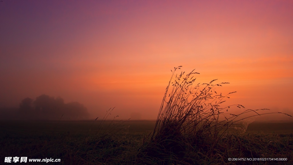 夕阳下的乡村风光
