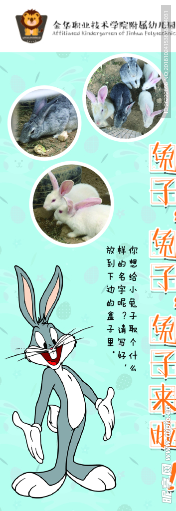 幼儿园 兔子来了