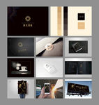 项目VI提案  项目提报