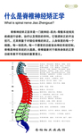 脊椎神经矫正学