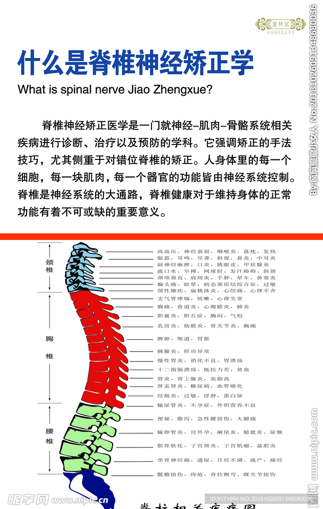 脊椎神经矫正学
