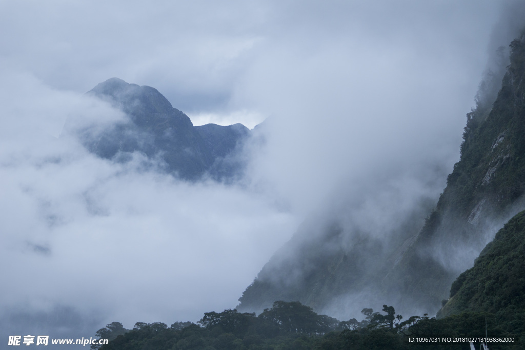照片 美丽 夏天 户外 清晰