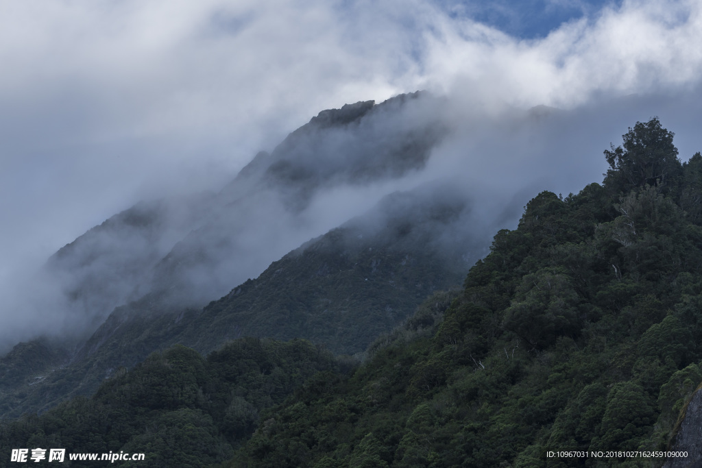 照片 美丽 夏天 户外 清晰