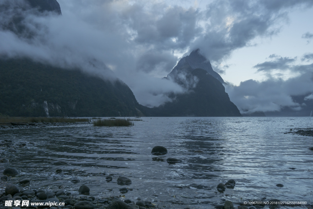 照片 美丽 夏天 户外 清晰