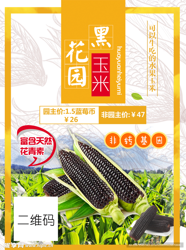 黑玉米宣传海报