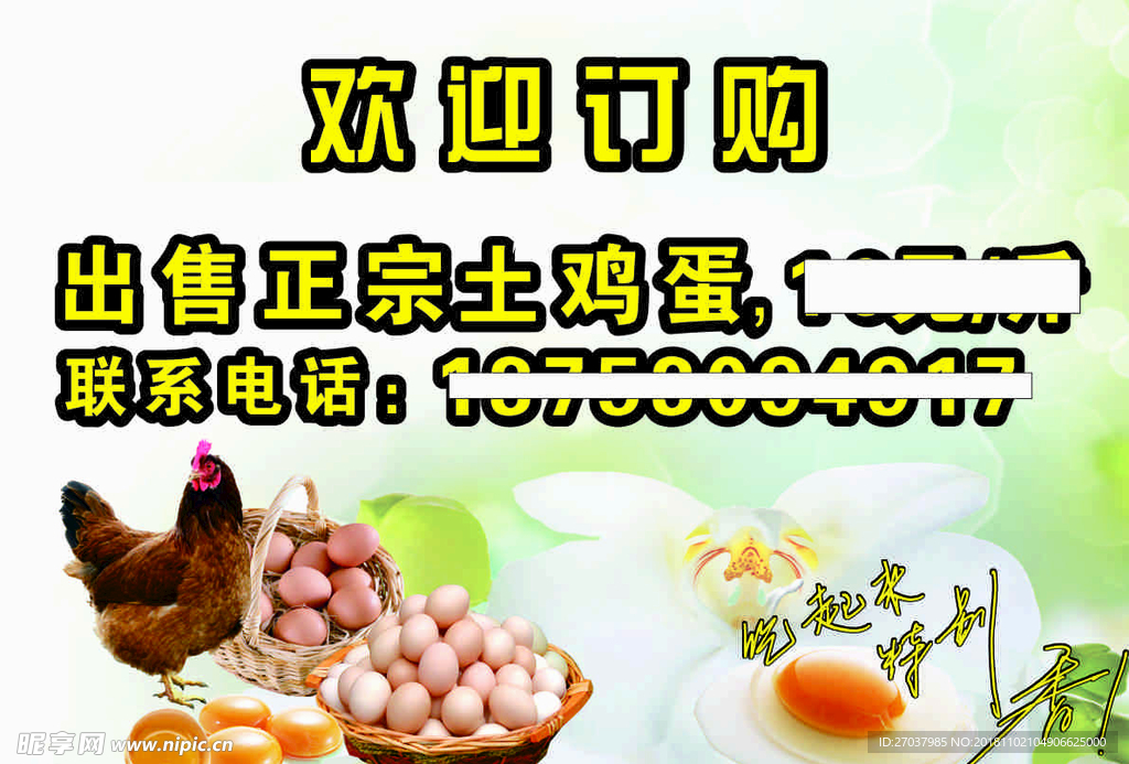 出售土鸡蛋宣传图