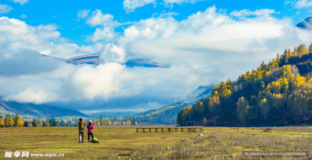 阳光辽阔蓝天草地
