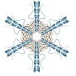 多彩 雪花 六个 元素 圣诞节