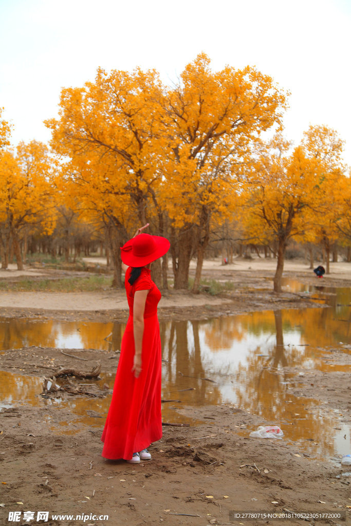 胡杨树前红裙女