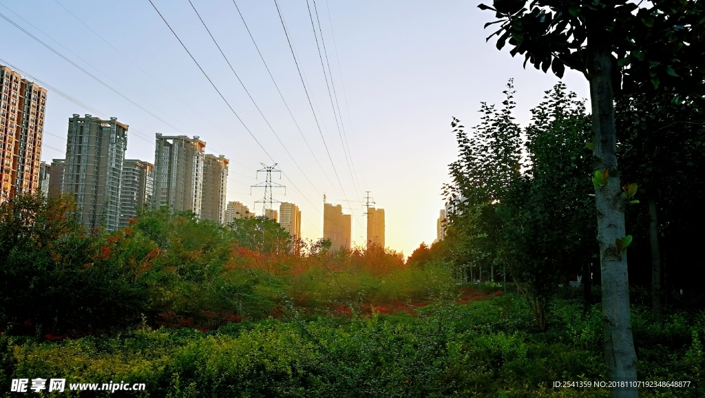 城市的公园清晨