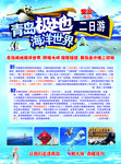 青岛宣传单