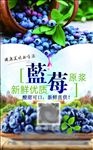蓝莓标