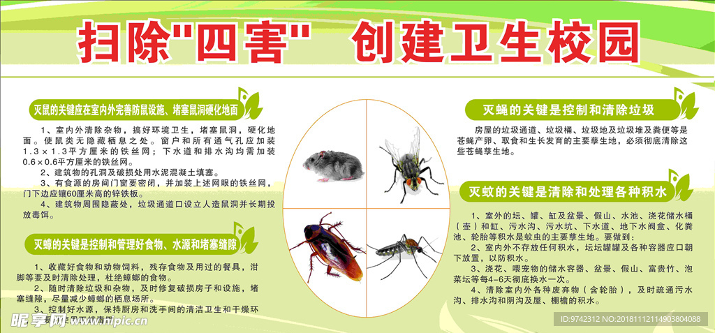 扫除四害创建卫生校园