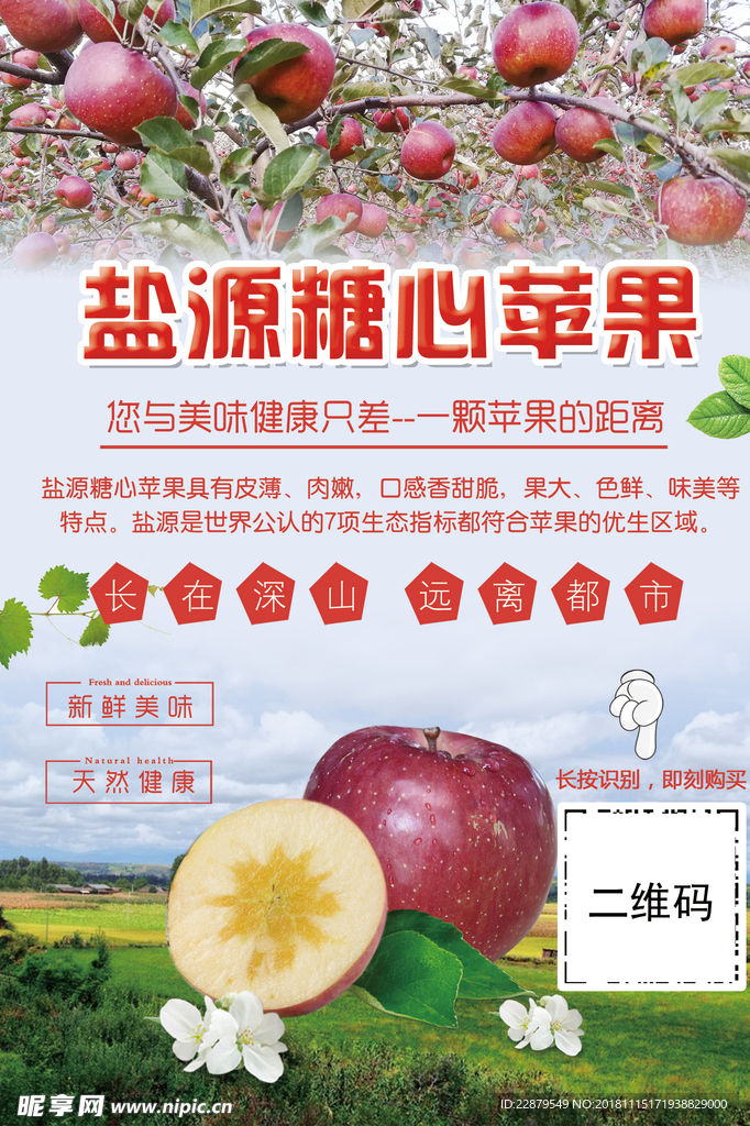 盐源糖心苹果海报