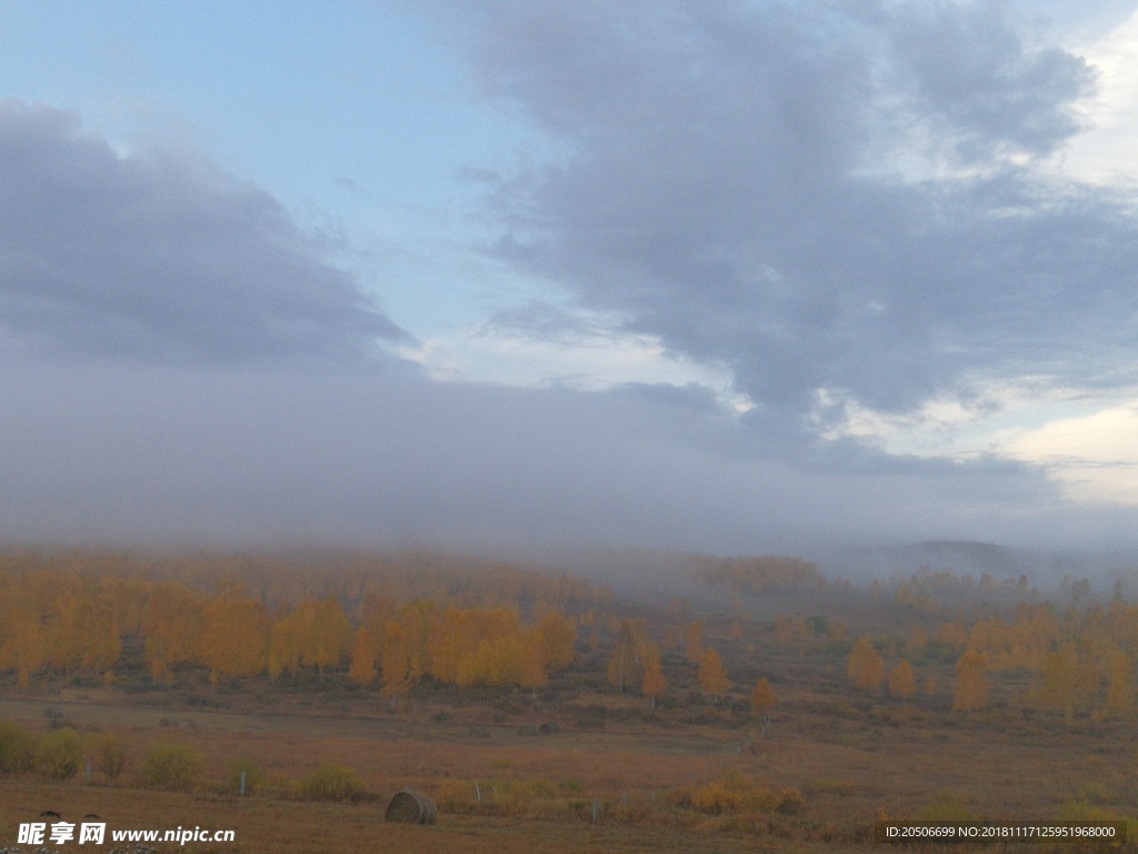 冷色调的大兴安岭
