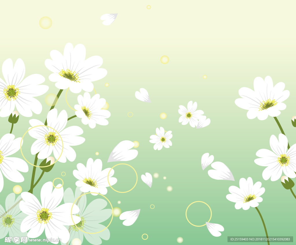 小清新小白菊绿色背景装饰画