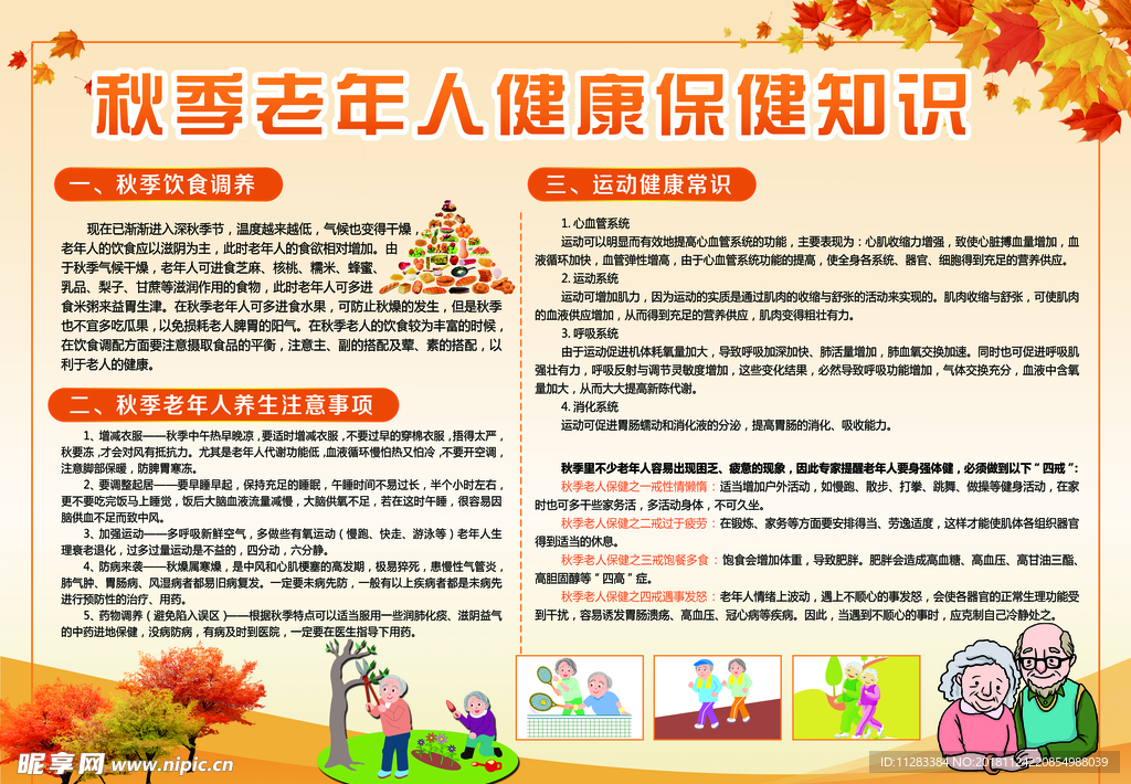 老年人健康展板