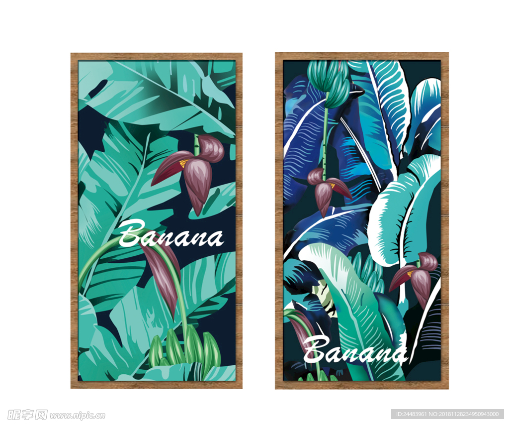 芭蕉叶子装饰画