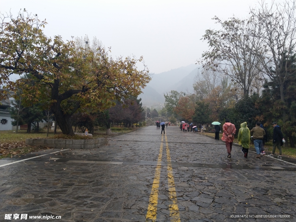 雨天的公园风景